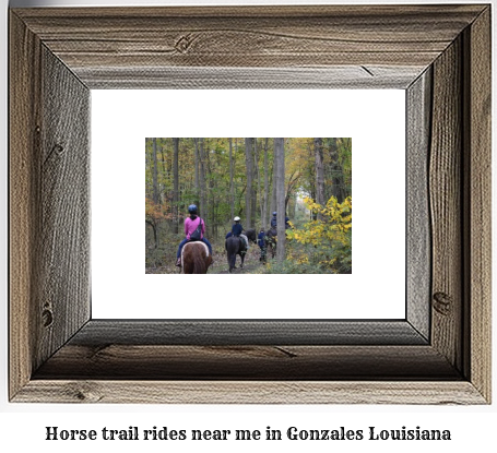 horse trail rides near me in Gonzales, Louisiana